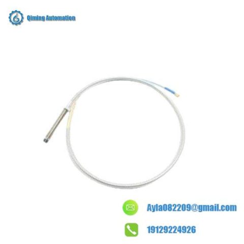 Bently Nevada Cable 330102-00-20-50-02-00, Advanced Control System Integration