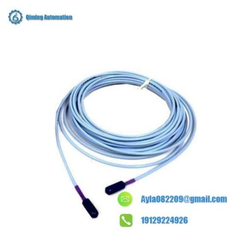 Bently Nevada 330130-035-01-CN: Advanced TSI System