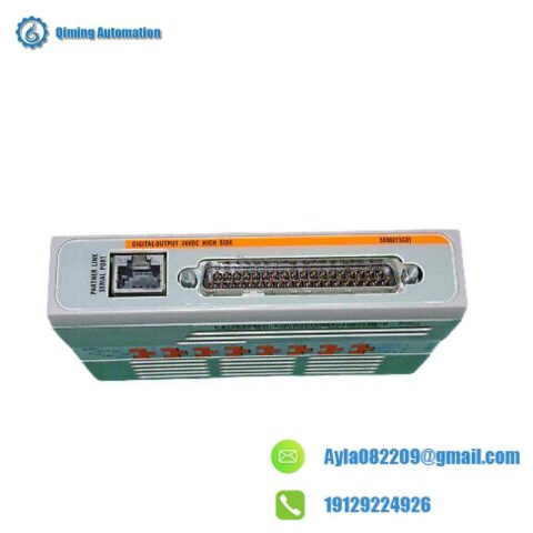 Emerson Ovation 5X00273G01 Digital Output Module, 24VDC