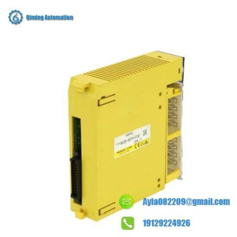 Fanuc A03B-0819-C161 Industrial Control Module