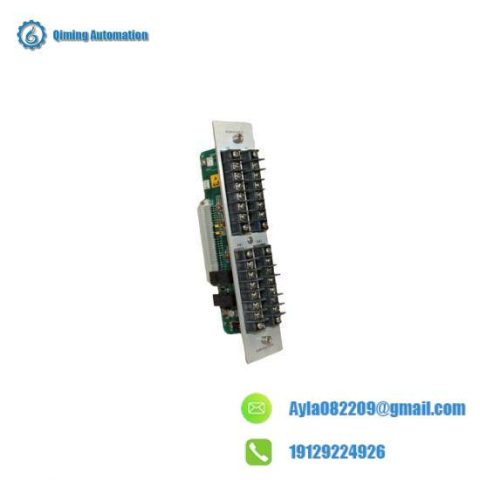 GE Bently Nevada 82365-01 Alarm Relay/Recorder Outputs / Dual Epoxy Relays