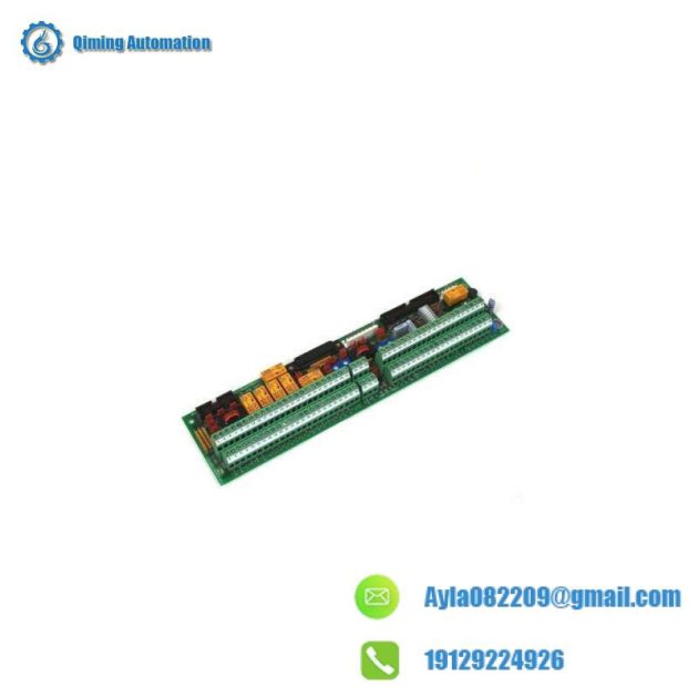 GE DS200FSAAG2ABA - Customizable Hardware Assembly for Industrial Control Systems