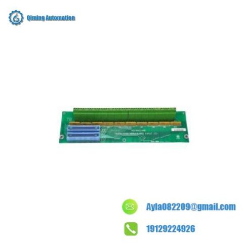 General Electric DS200TBCBG1AAA: Advanced RTD Input Terminal Board