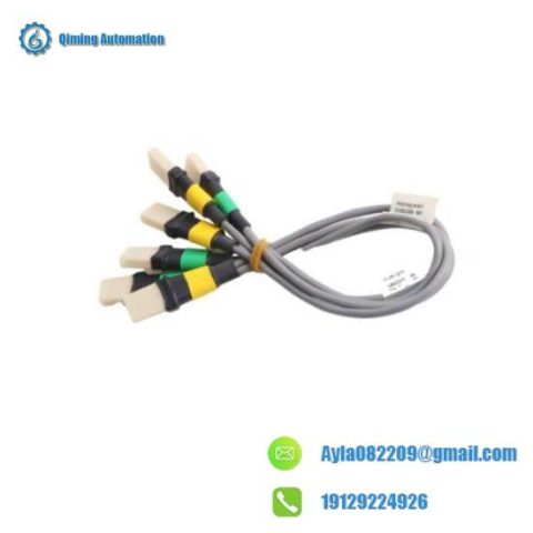 Honeywell FS-IOBUS-CPIO4: Controller Chassis to IO Chassis IO Bus, Efficient Data Transfer Solution