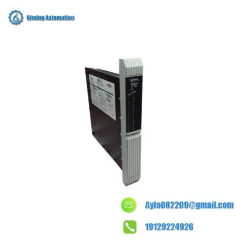 Moore 39SDM024DCCBN - 16101-174R/12 SDM+ Standard Discrete Module