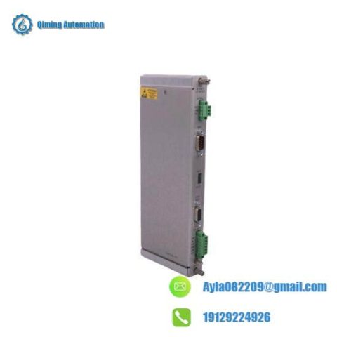 Bently Nevada 125768-01 Rack Interface Module - Advanced Communication Processing Solution