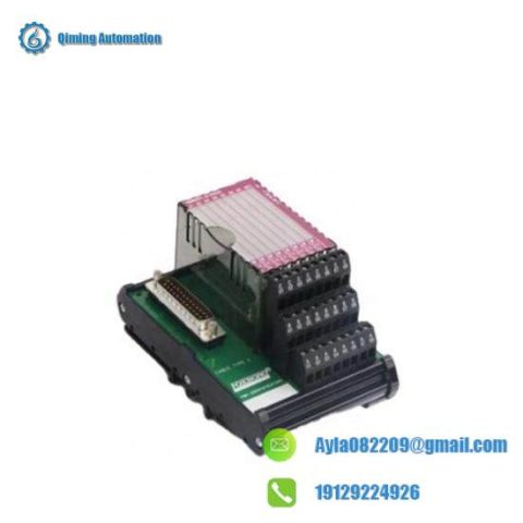 Foxboro P0916AA - I/A Series Process Control Module