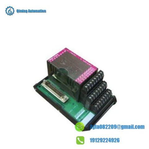 Foxboro P0916AE I/A Series Module