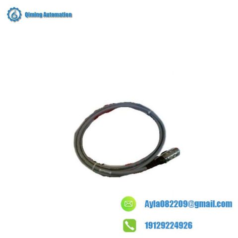 Pasan 200035 Photoelectric Monitor - Advanced Industrial Control Solution