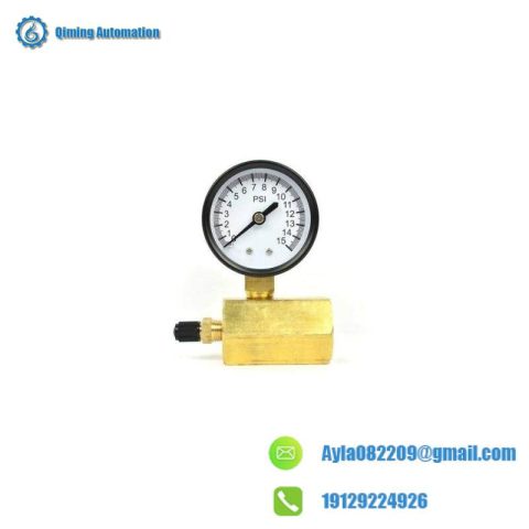 Thrifco Plumbing 8705TPE010S1W0N5 - Gas Pressure Test Gauge, Precision Instrument for Industrial Controls