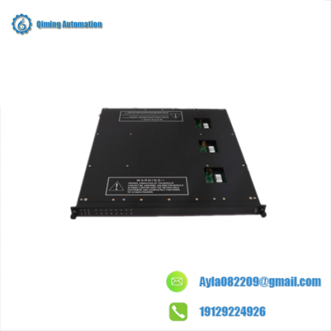 TRICONEX 9561-810 High-Performance Process Control Module