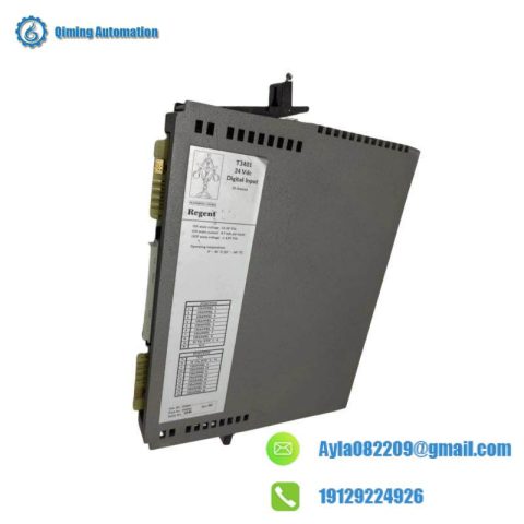 ICS Triplex T3411F - Monitored Digital Input Modules