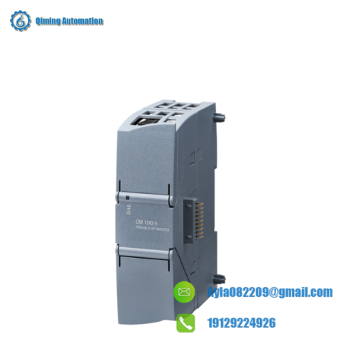 LUDLUM 2401-P Radiation Detector - High Precision Measurement Instrument