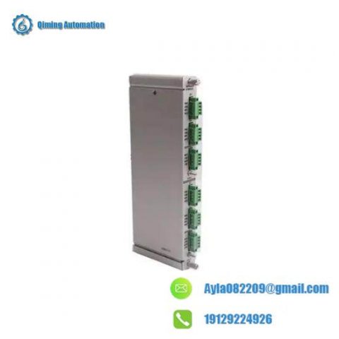 Bently Nevada 133819-02 RTD/TC Temperature Input/Output Module