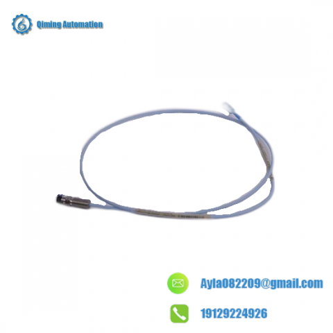 Bently Nevada 300103-A00-B09-C10-D02-E0 Advanced Control Module for Industrial Automation