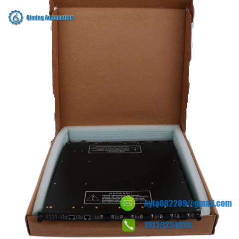 Triconex 9761-210 Panel Field Termination; Manufacturer: Invensys